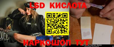 сатива Гатчина