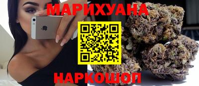 сатива Гатчина