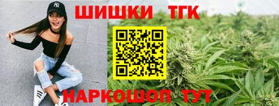 сатива Гатчина